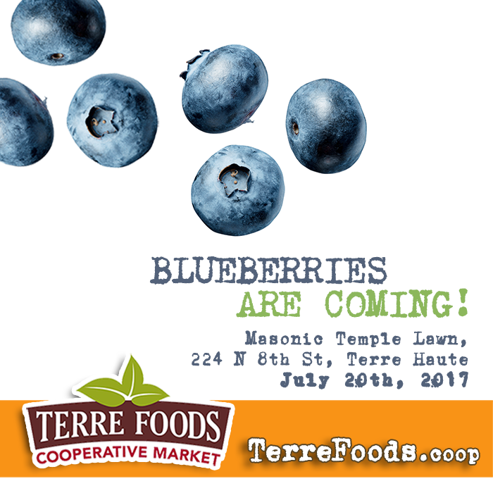 Blueberries Are Coming! Blueberries Are Coming!